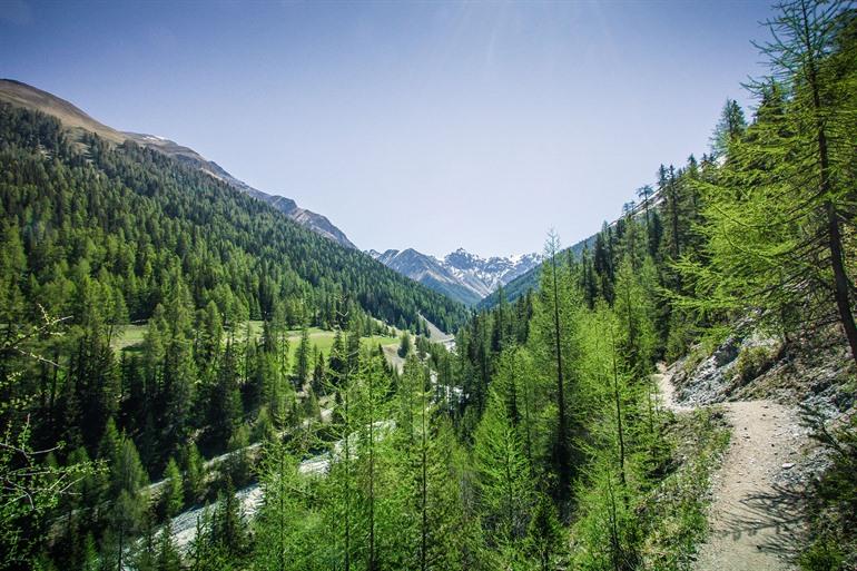 Zwitsers Nationaal Park in Zernez, Zwitserland