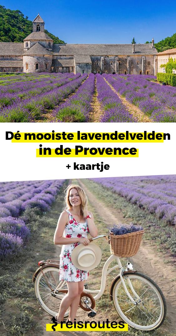 Pinterest Dé mooiste lavendelvelden in de Provence + kaartje met ligging beste plekken