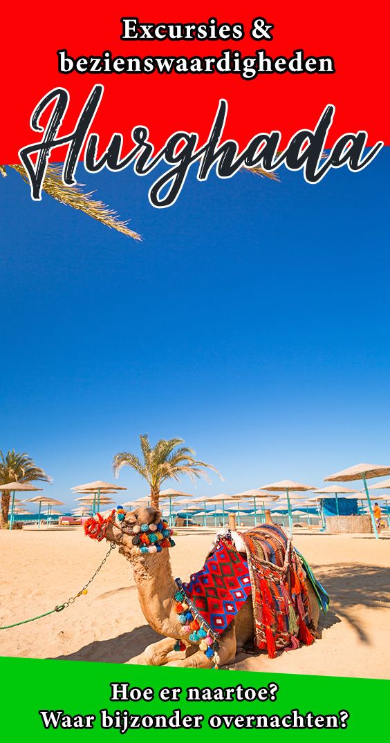 Pinterest De leukste excursies en bezienswaardigheden in Hurghada: info, foto's & tickets!