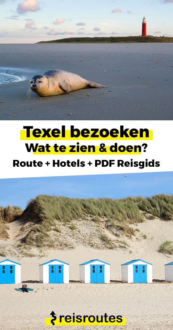 Pinterest Texel bezoeken? 17 x Bezienswaardigheden Texel + Wat te zien & doen