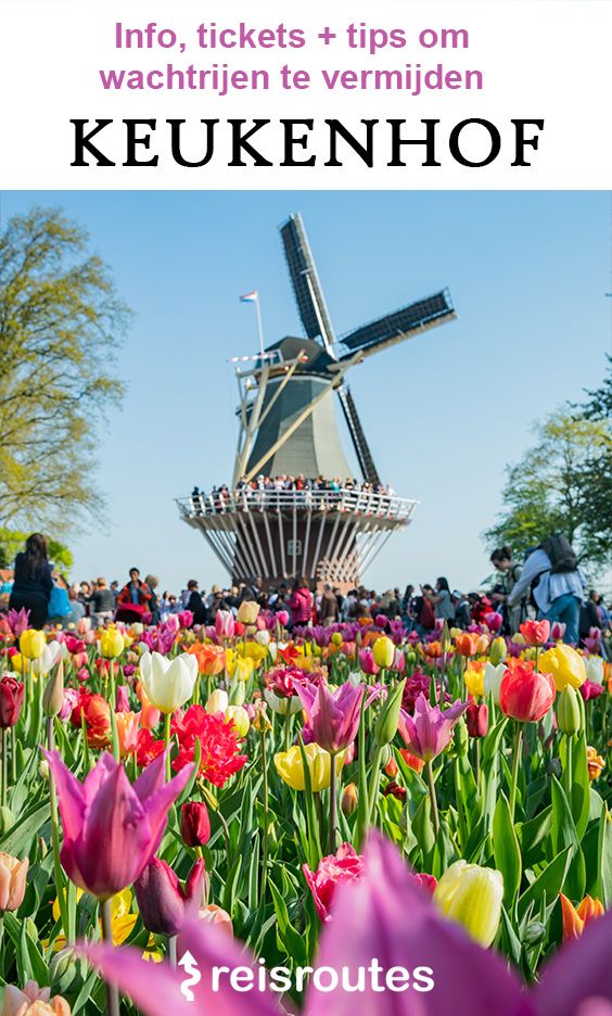 Pinterest Keukenhof 2023 bezoeken (Lisse)? Tickets, openingsuren + tips!