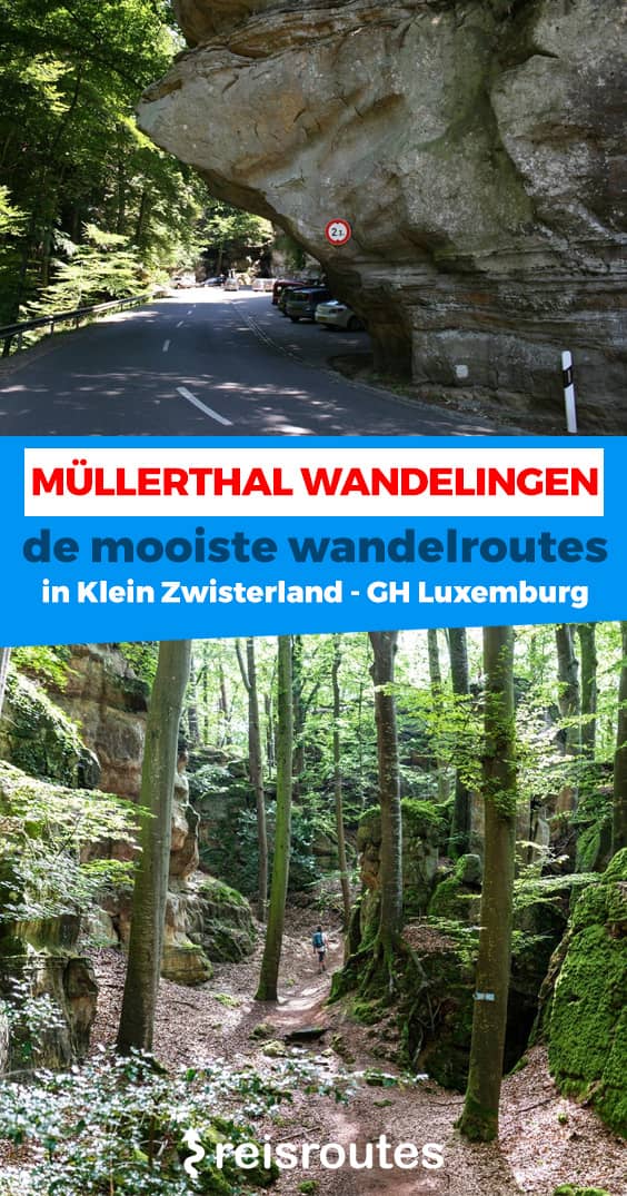Pinterest Müllerthal bezoeken? Bezienswaardigheden Klein-Zwiterserland: wat te zien en doen?