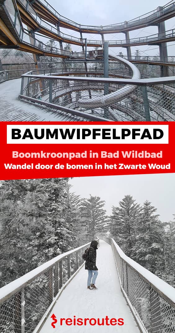 Pinterest Wandelen door de bomen op het Baumwipfelpfad in Bad Wildbad, Zwarte Woud