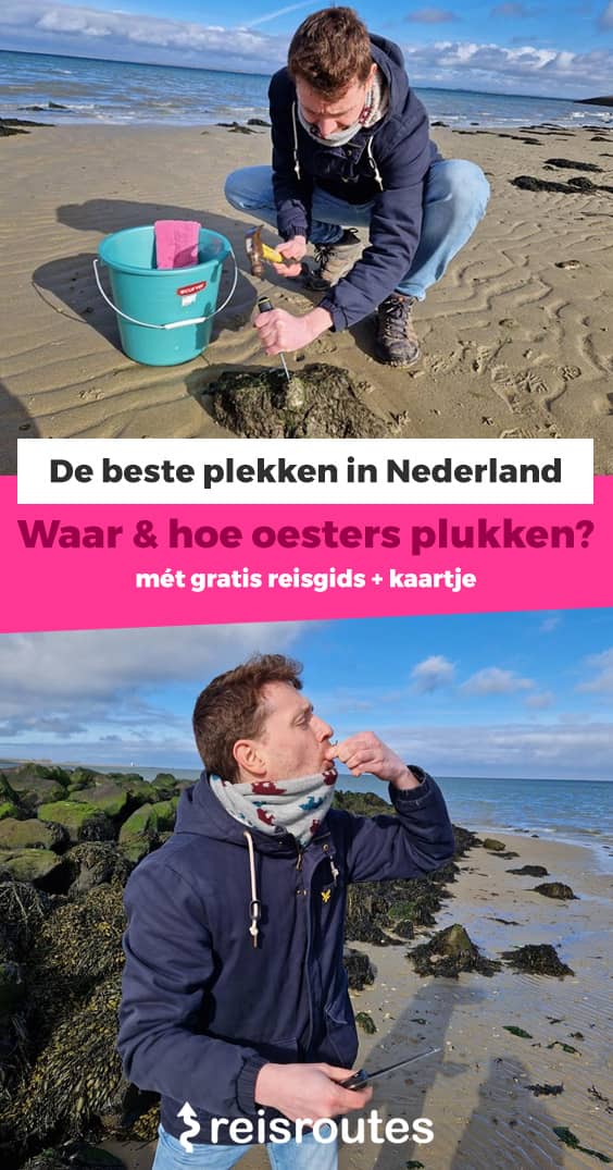 Pinterest Waar zelf oesters gaan plukken in Nederland? Dé beste plekken