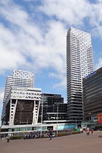 Den Haag stadswandeling 