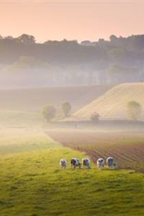 Vlaamse Ardennen e-bike