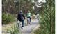Gelderland fietsvakantie 5 dagen regio Veluwe