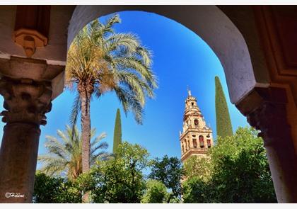Groepsreis Andalusië: 7 dagen Sevilla, Cordoba en Granada: 08/11/20
