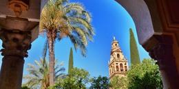 Groepsreis Andalusië: 7 dagen Sevilla, Cordoba en Granada: vertrek 21/04/25