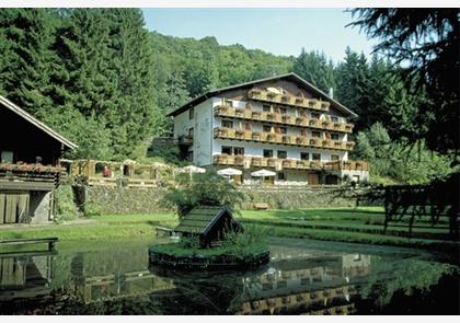 Single gerolstein