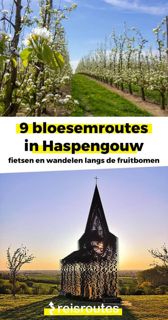 Pinterest Bloesemroute 2023 Haspengouw, ontdek de bloesemstreek Limburg