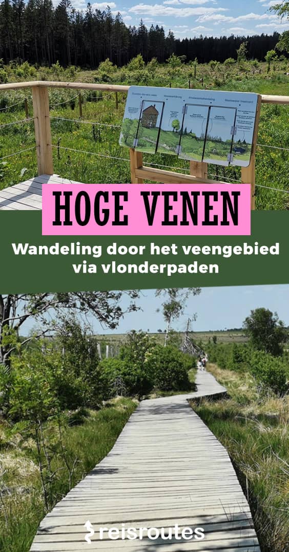 Pinterest Veenwandeling Hoge Venen vanuit La Maison du Parc-Botrange