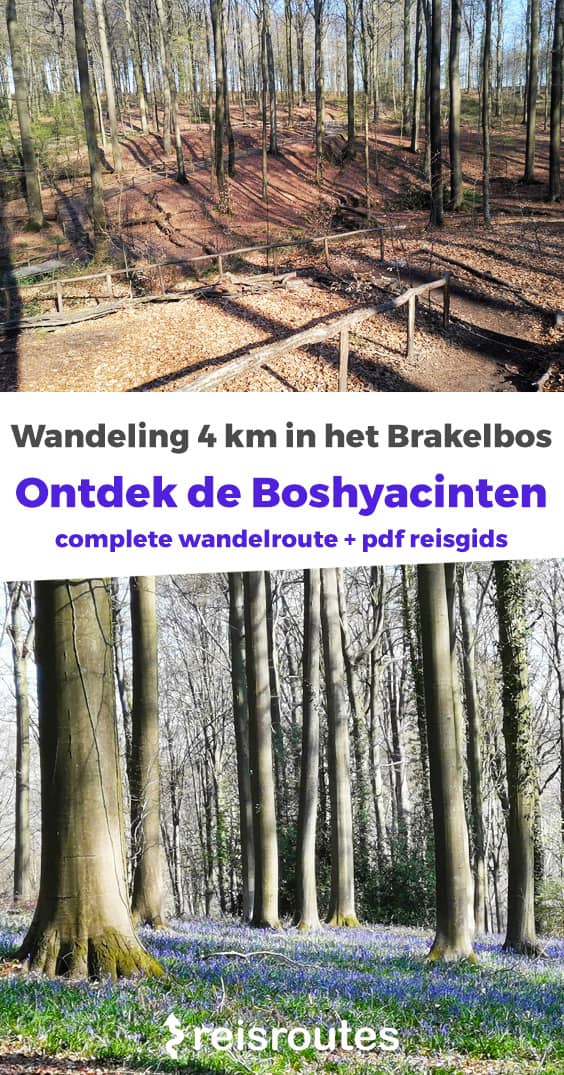 Pinterest Hyacintenwandeling in het Brakelbos