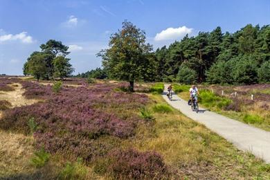 Arnhem - Nijmegen: fiets- en autoroute Gelderland