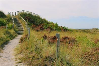 Duinheidewandeling (12 km) door het natuurgebied nabij Alkmaar