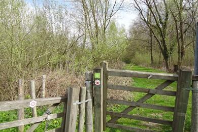 Ename bos wandelroute