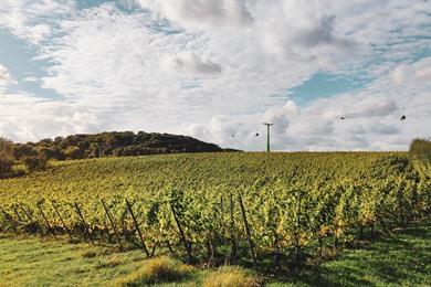 Entre-Deux-Monts wandelen tussen de Rodeberg en Zwarteberg