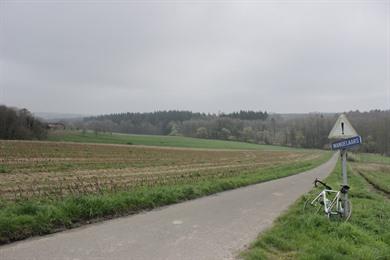 Fietsroute door het Hallerbos: fiets  langs de paarse boshyacinten