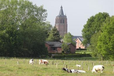 Fietsen in Peer, op zoek naar Bruegel