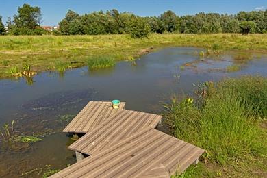 Wandeling in Bourgoyen Ossemeersen - natuurreservaat Gent