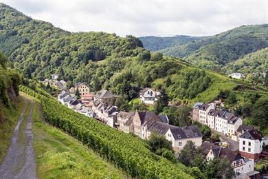 Groene luswandeling vanuit Trarbach