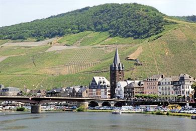 Groene luswandeling vanuit Bernkastel