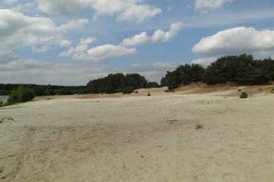 Lommel wandeling: Van het erfgoed tot de Sahara