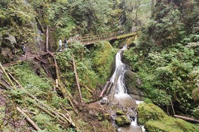 Wandelroute door de Lotenbachkloof langs charmante watervallen