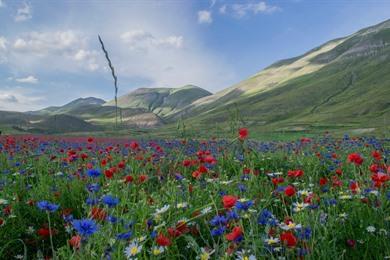 Wandeling naar de Monte Vettore in Nationaal park Monte Sibillini