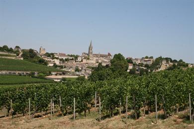 Saint-Emilion wandeling: geschiedenis en wijngaarden