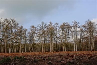 Fietsen langs het Schipdonkkanaal (57,5 km): Schipdonkroute