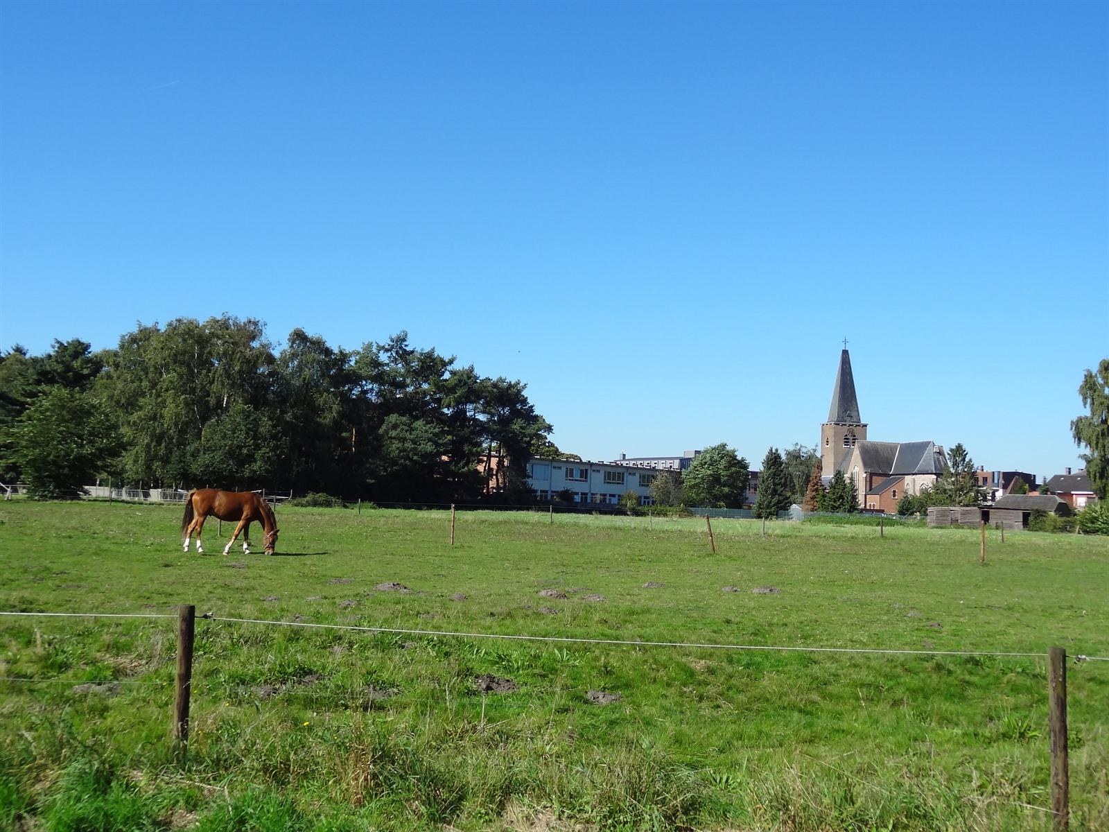 Wandelen in SintJobin'tGoor en 's Gravenwezel via wandelknooppunten