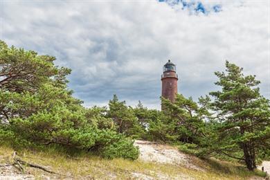 Strand- en duinwandeling Darsser Ort in Nationaal Park Vorpommersche Boddenlandschaft