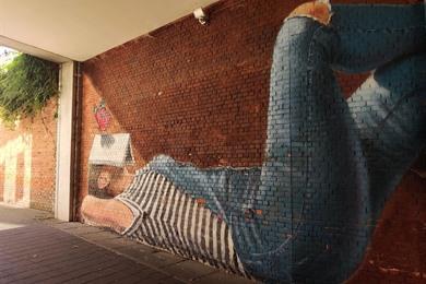 Street-art wandeling door Leuven, langs de mooiste muurschilderingen & murals