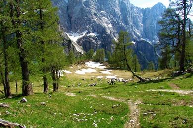 Wandelen naar Slemenova Špica op de Vršič Pass 