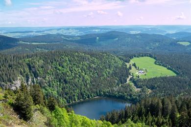 Wandeling Feldberg: naar het dak van het Zwarte Woud