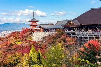 Stadswandeling Kyoto: voormalige keizerlijke hoofdstad van Japan