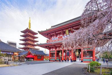Stadswandeling Tokio: Asakusa