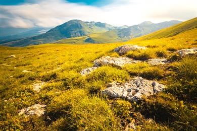 Wandeling naar de top van de Titov in het Šar mountain Nationaal Park