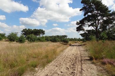 Natuurwandeling rond Achelse Kluis