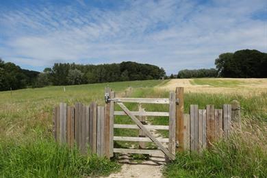 Natuur- en boswandeling in Maarkedal: Muziekbos, Bos Ter Rijst ...