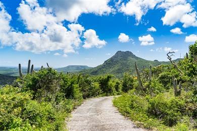 Wandeling naar de Christoffelberg op Curaçao