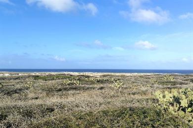 Wandeling naar Westpunt op Aruba