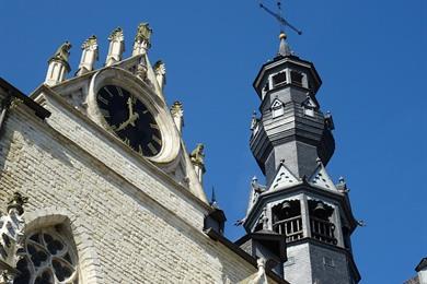 Stadswandeling Zoutleeuw: Ontdek verborgen natuur en cultuur