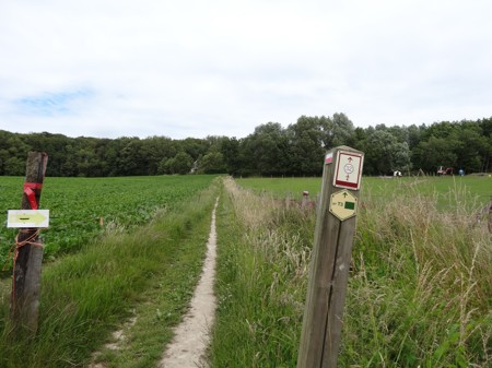 GR markeringen